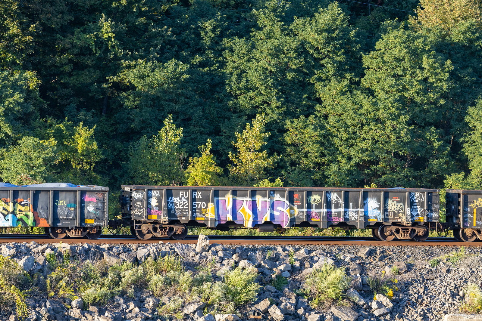 FURX 322570