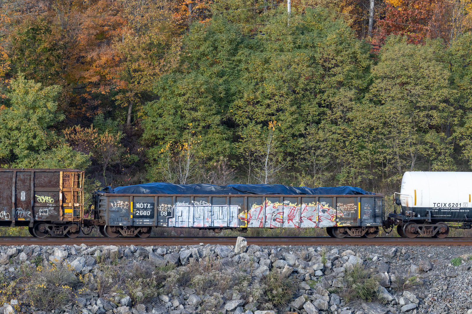 RDTX 268009