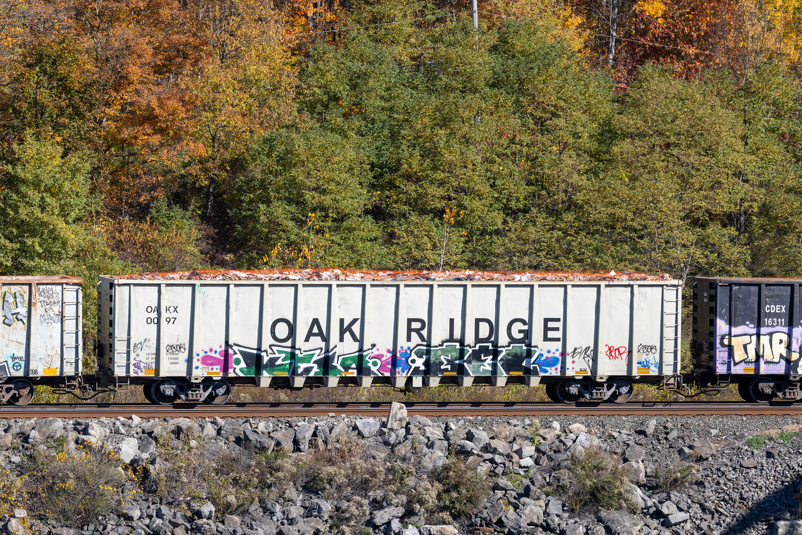 OAKX 0097