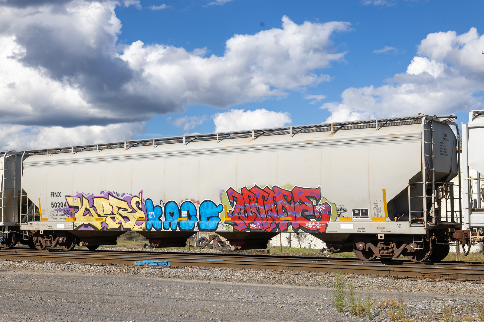FINX 50204