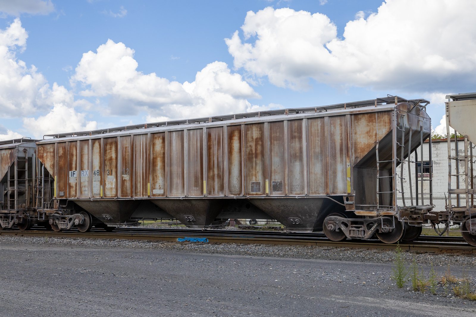 IFRX 483182