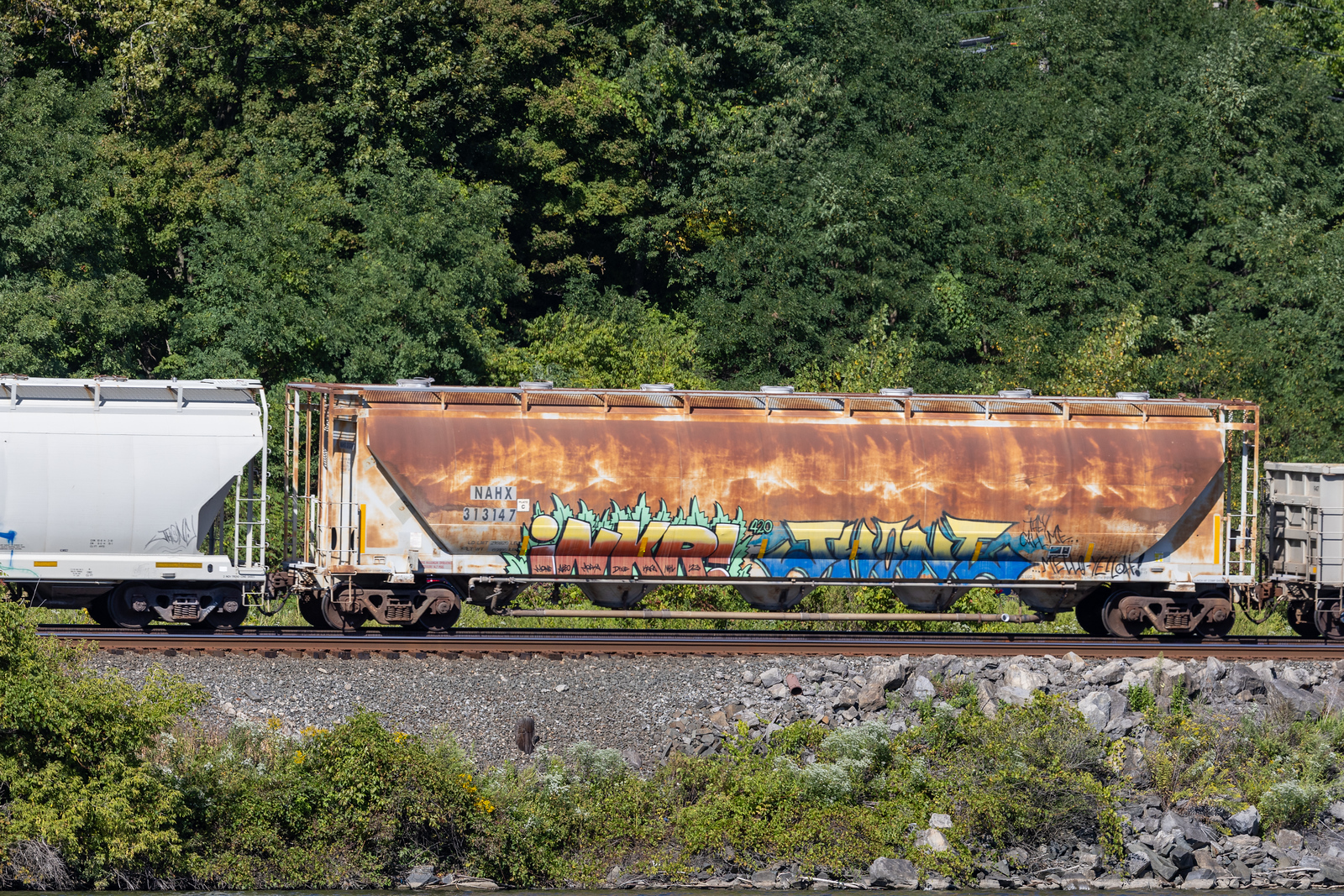 NAHX 313147