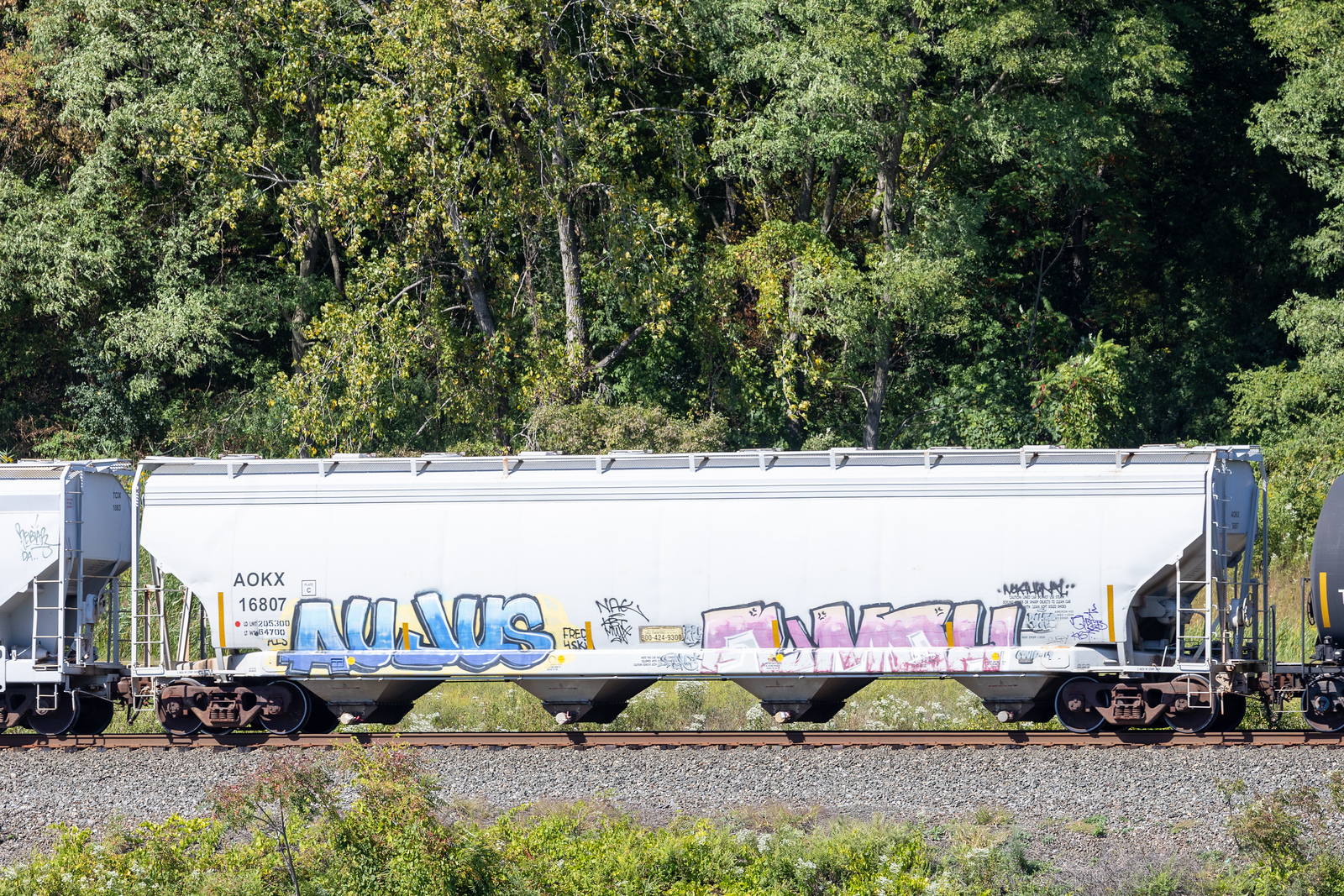 AOKX 16807