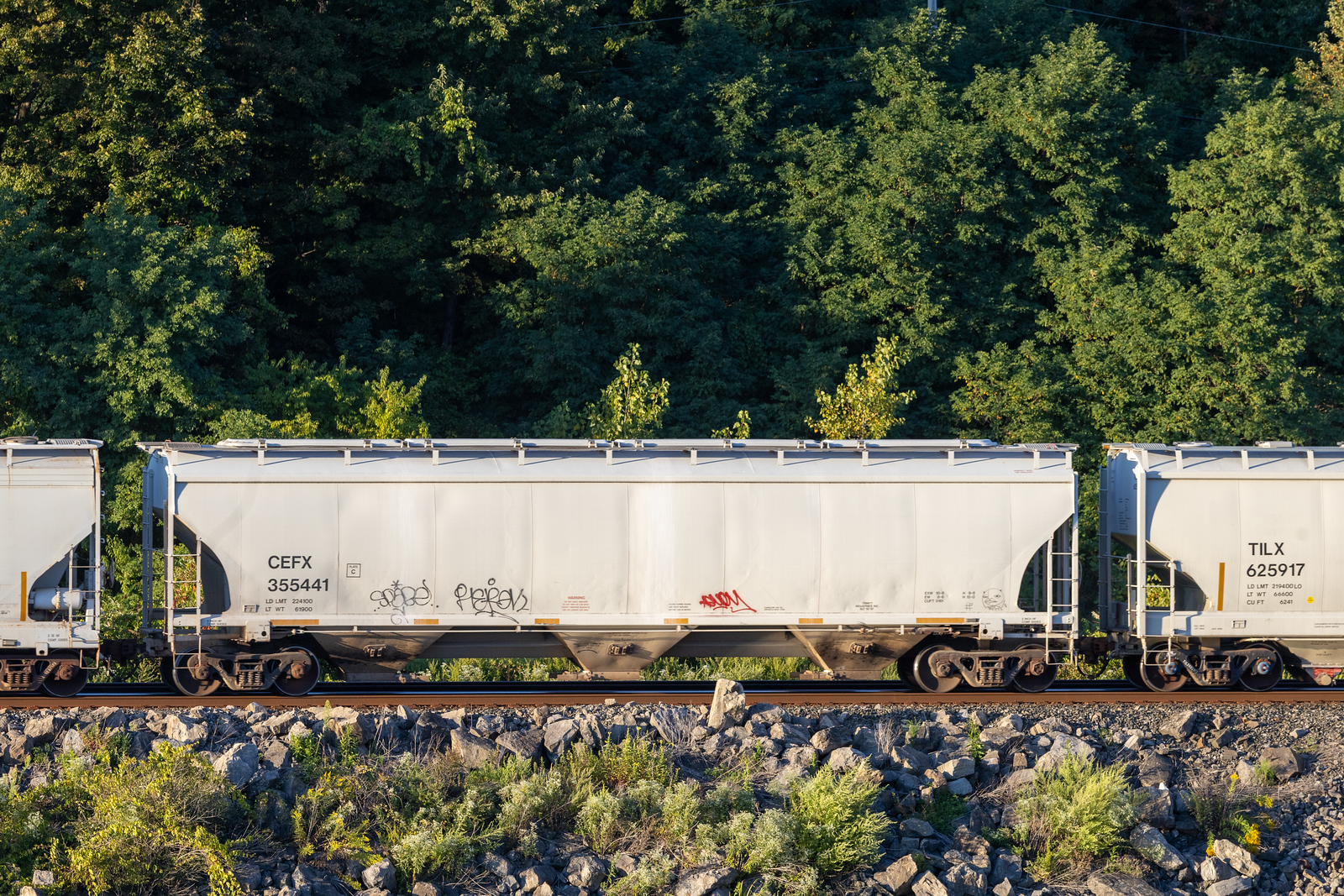 CEFX 355441