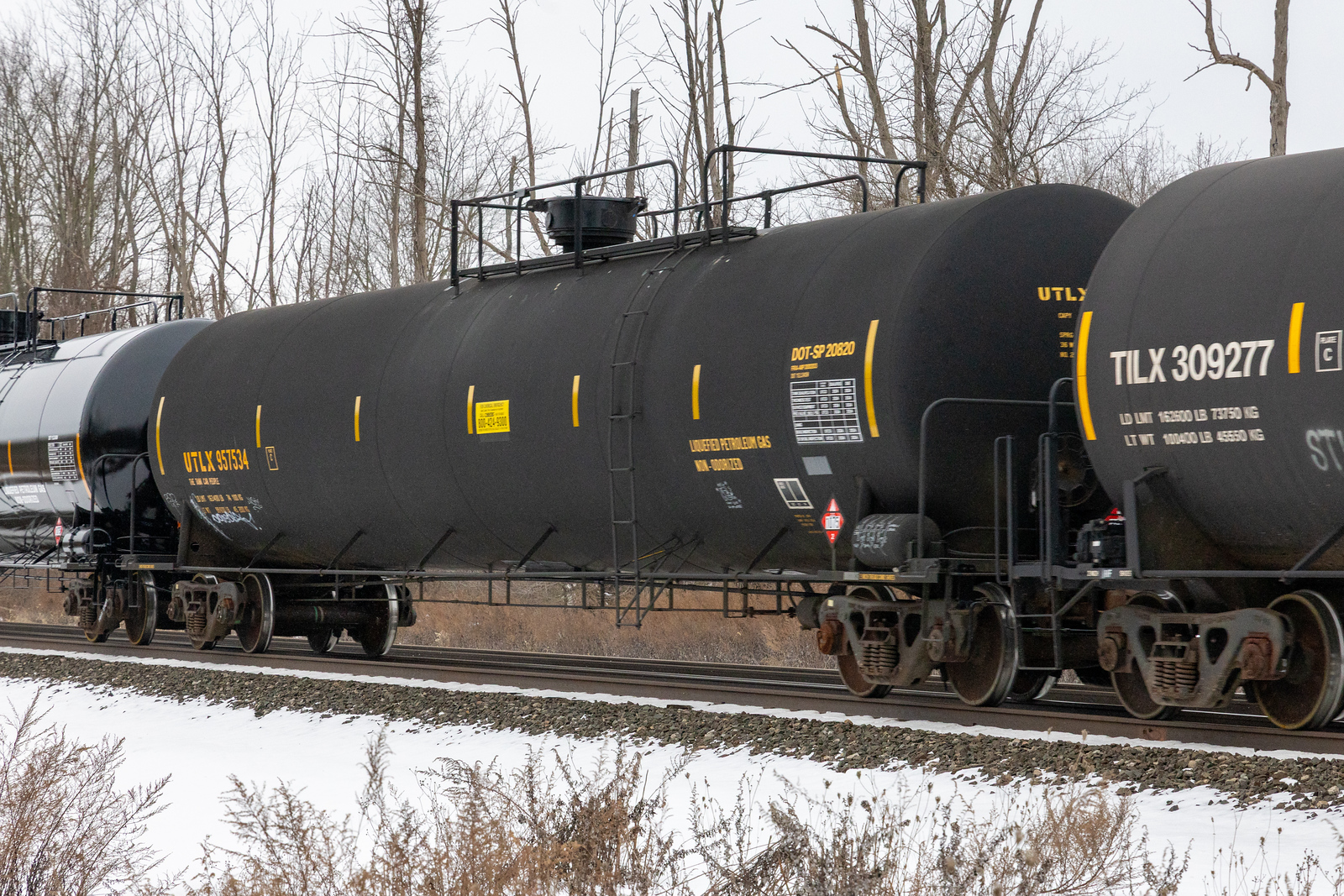 UTLX 957534