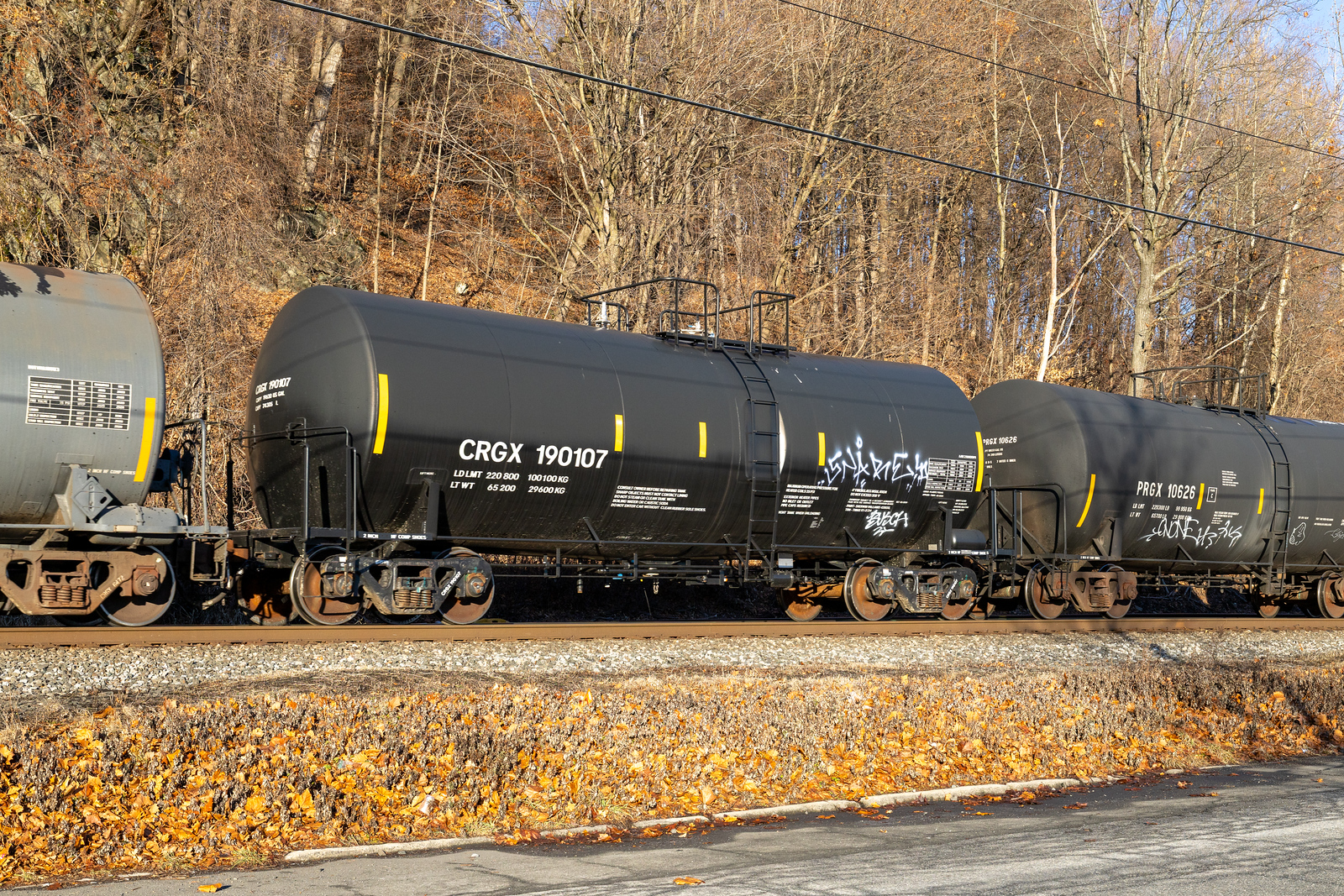 CRGX 190107