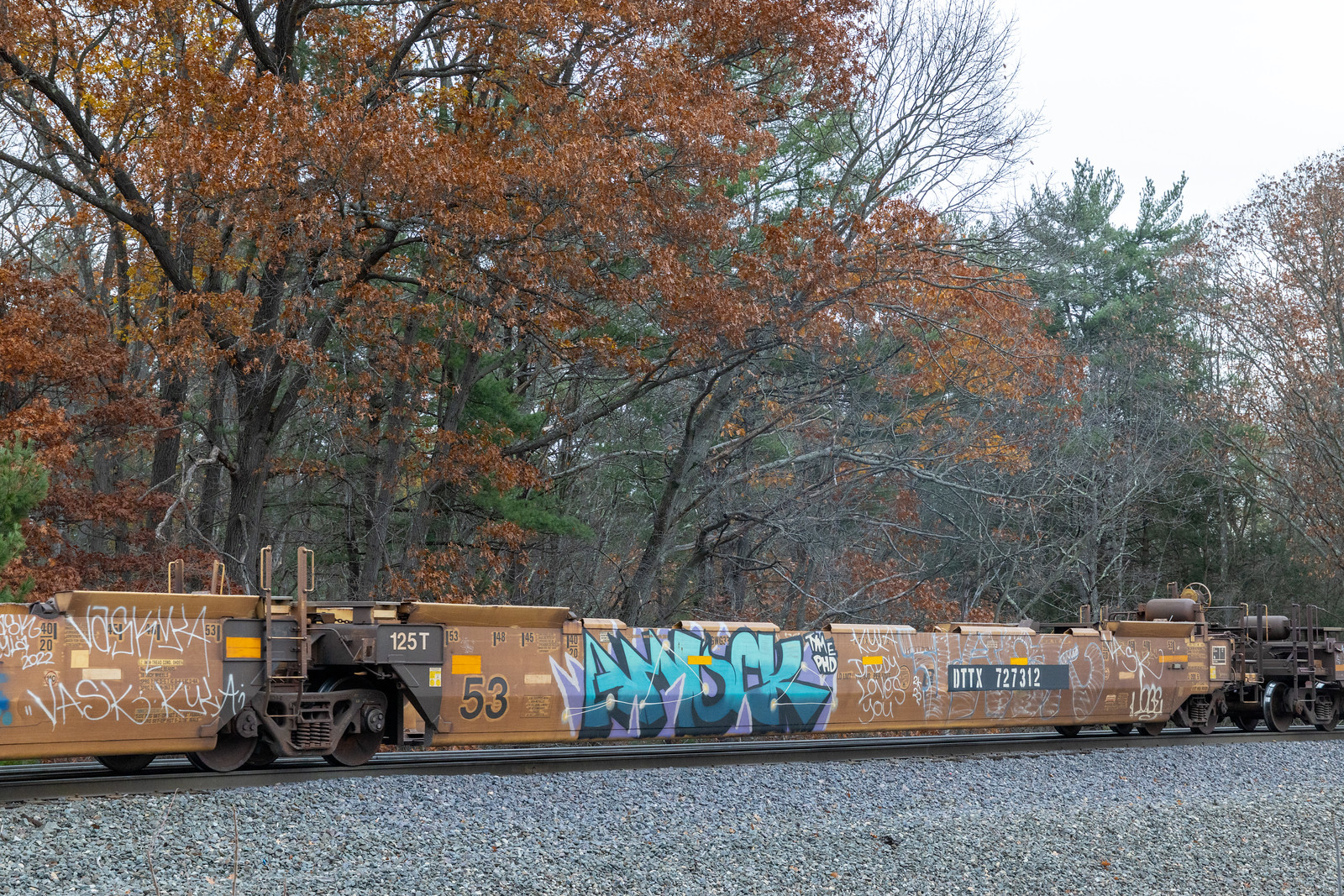 DTTX 727312B