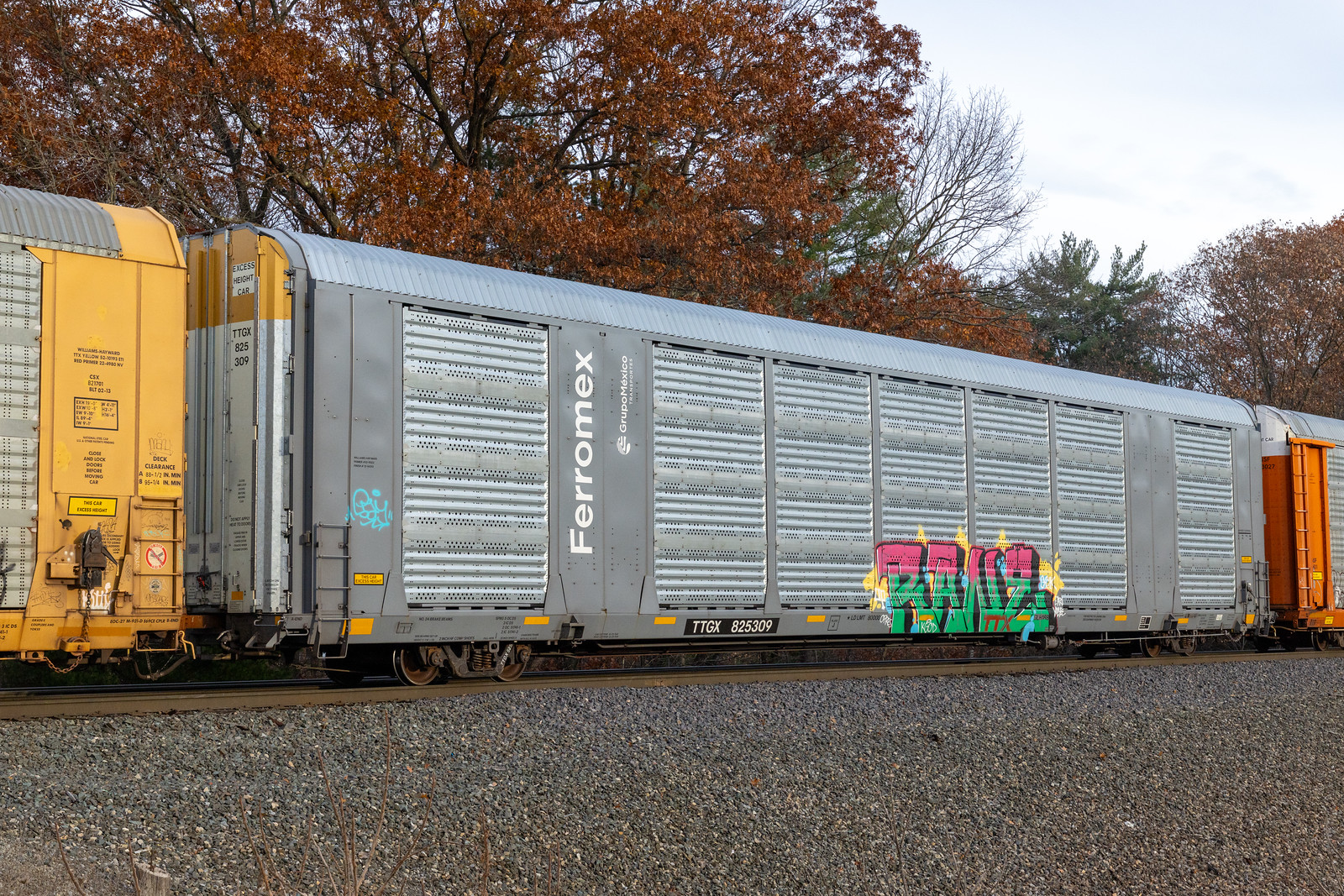 TTGX 825309