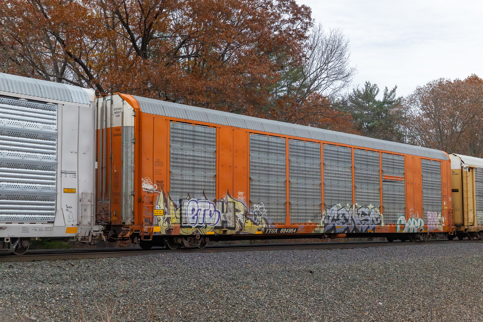TTGX 694954