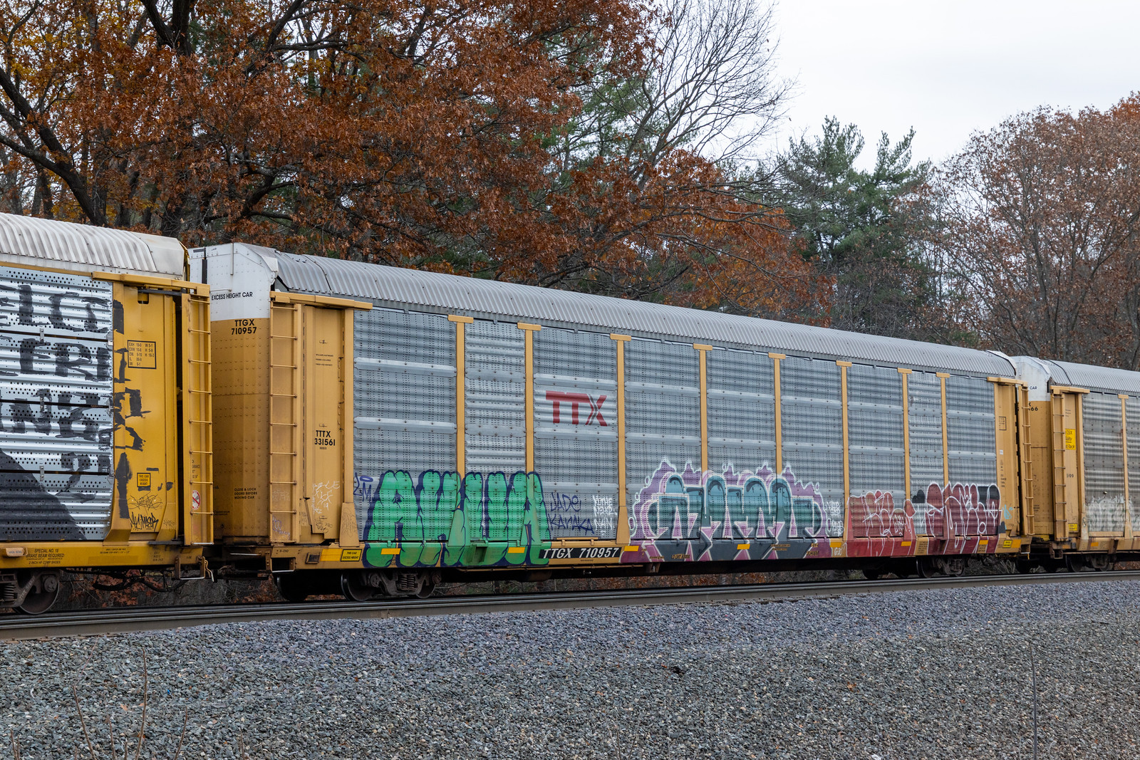 TTGX 710957