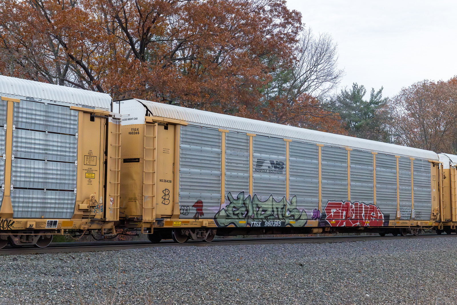 TTGX 980265