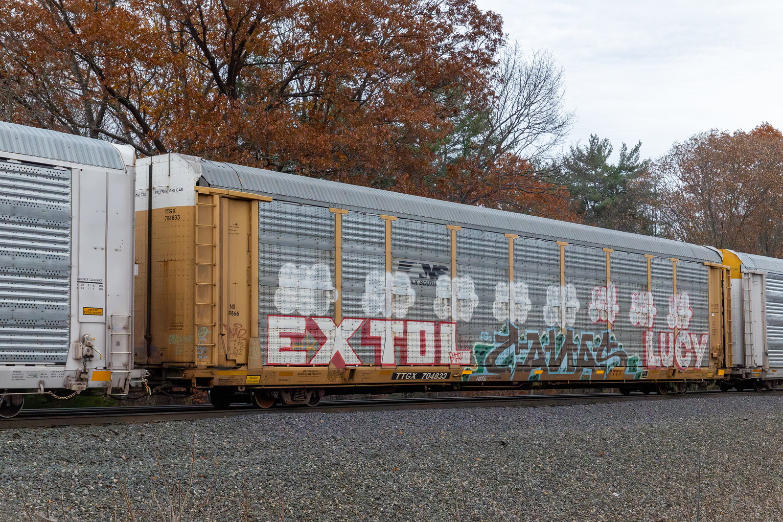 TTGX 704833