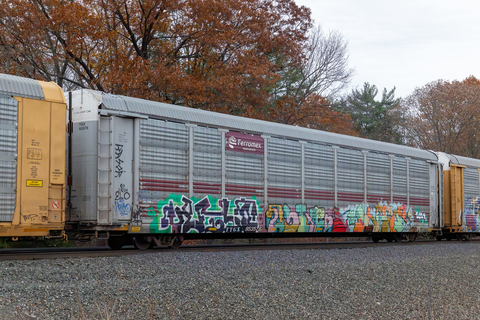 TTGX 953576