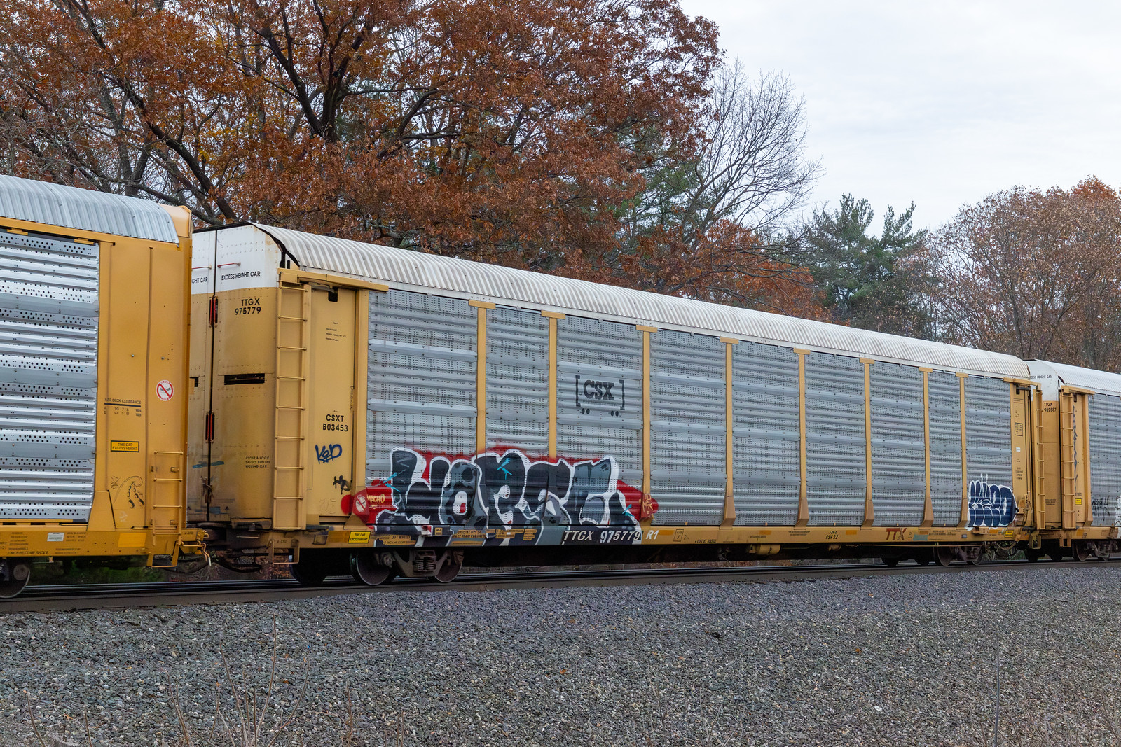 TTGX 975779