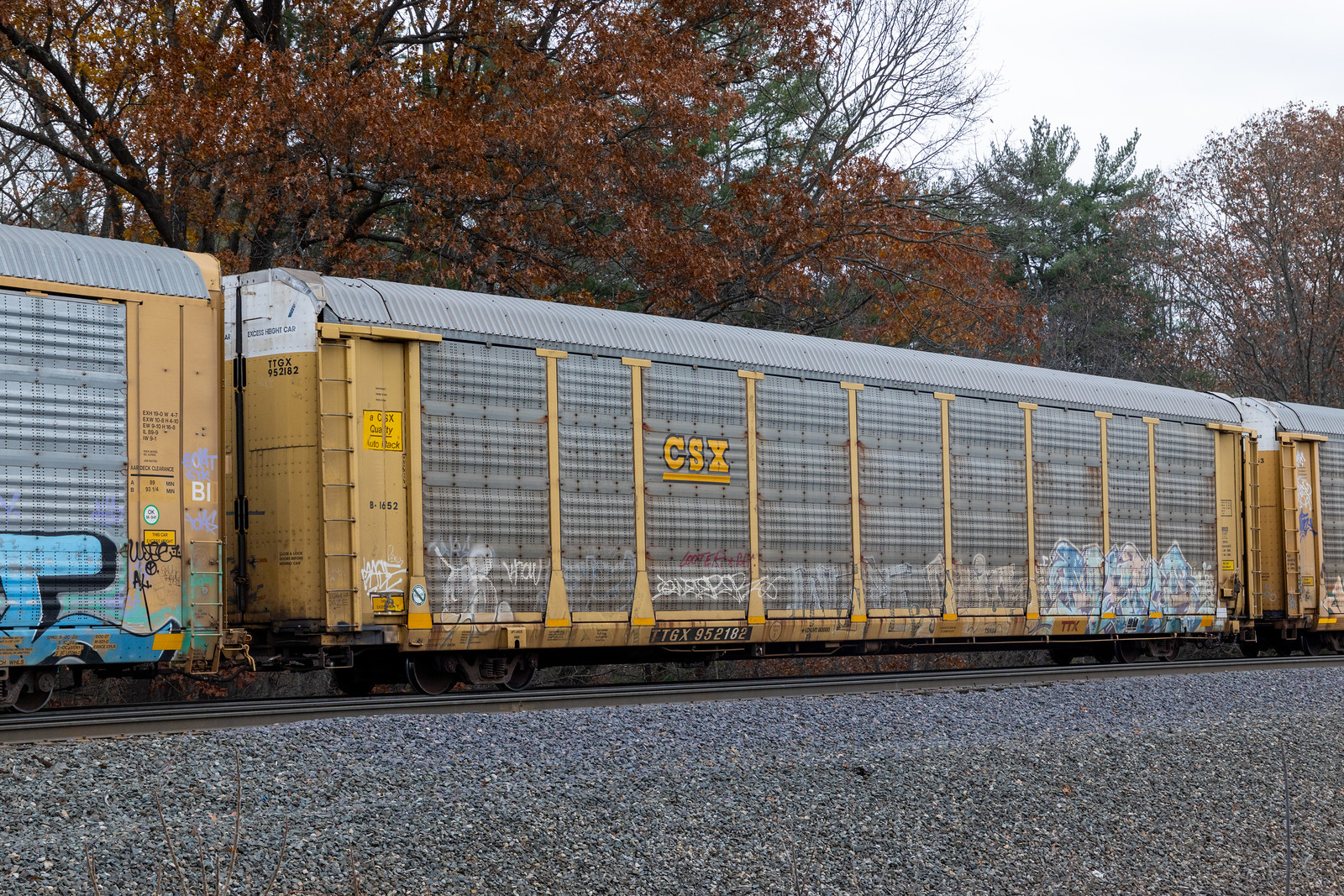 TTGX 952182