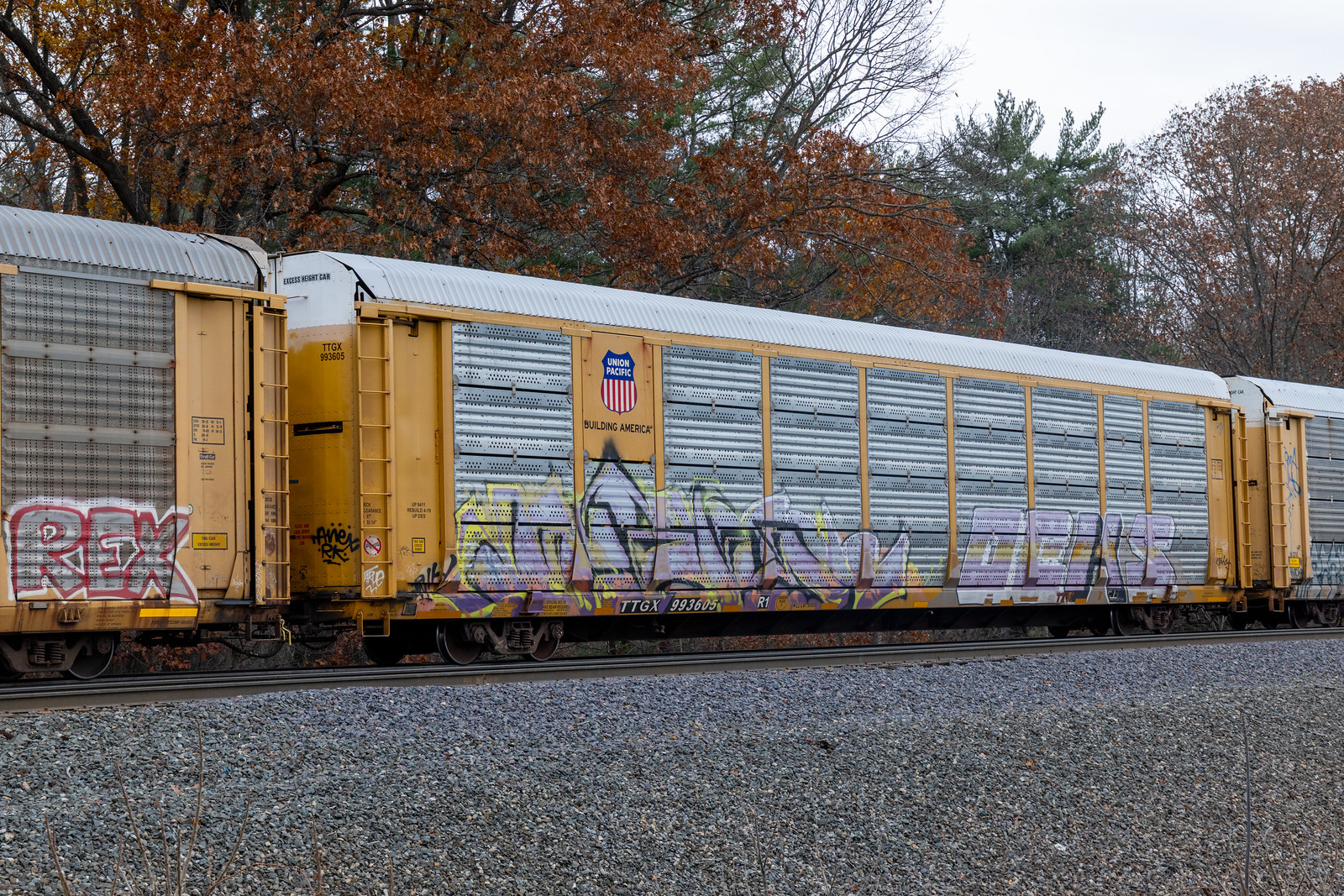 TTGX 993605