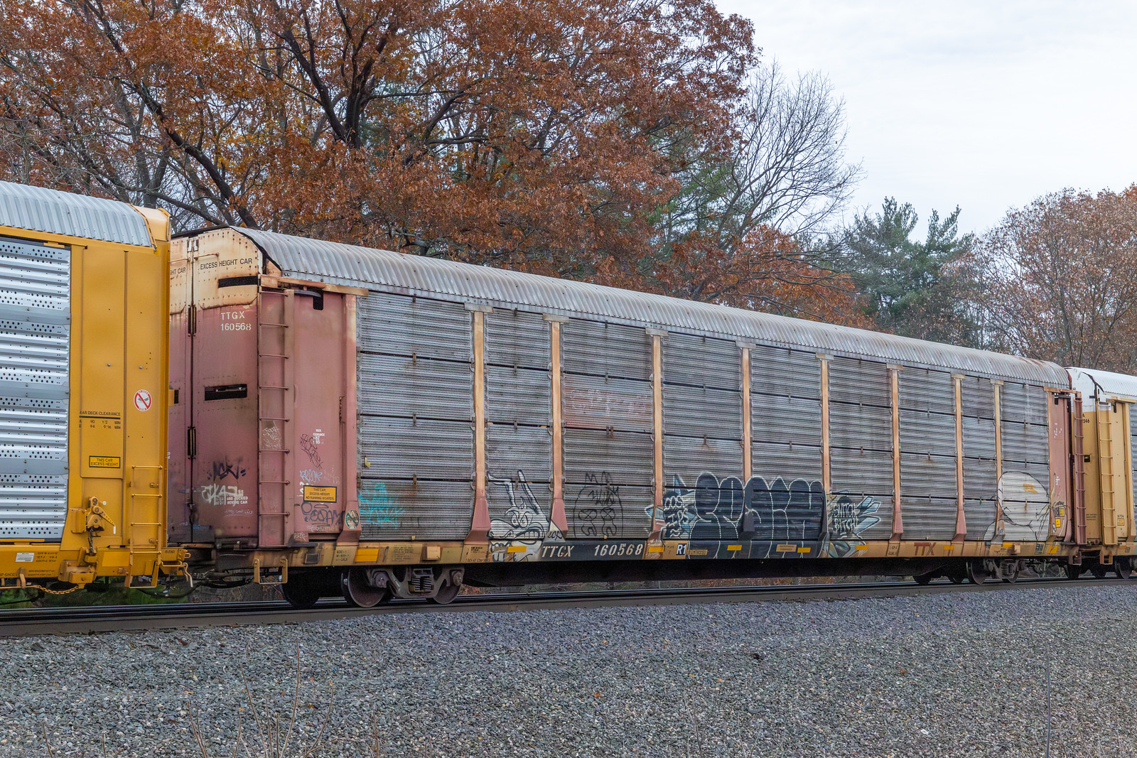 TTGX 160568
