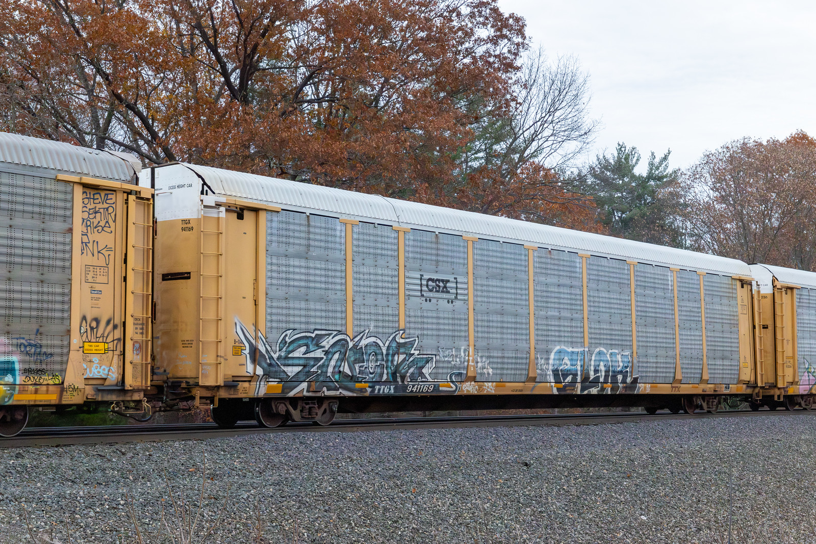 TTGX 941169