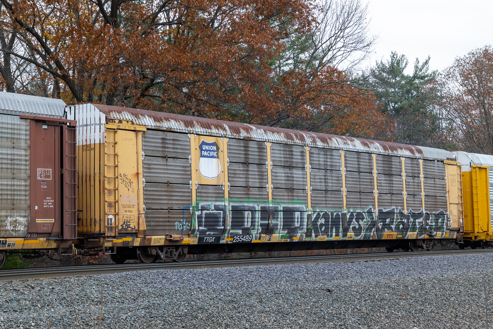 TTGX 255489
