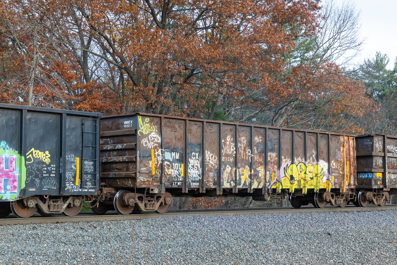 MWCX 101551