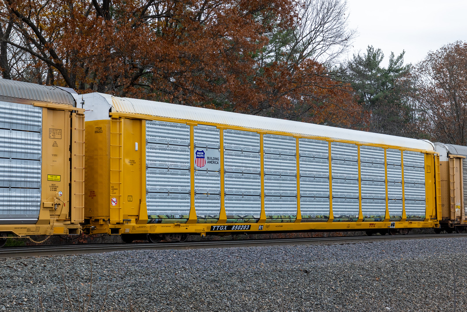 TTGX 850203