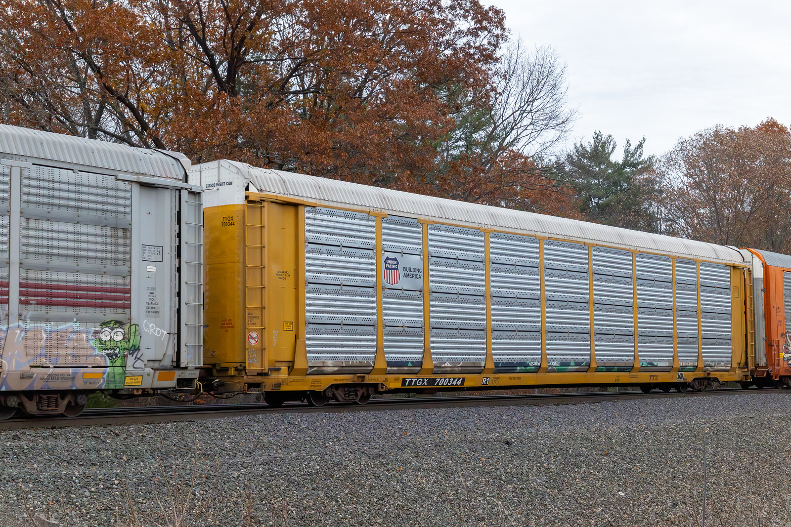 TTGX 700344