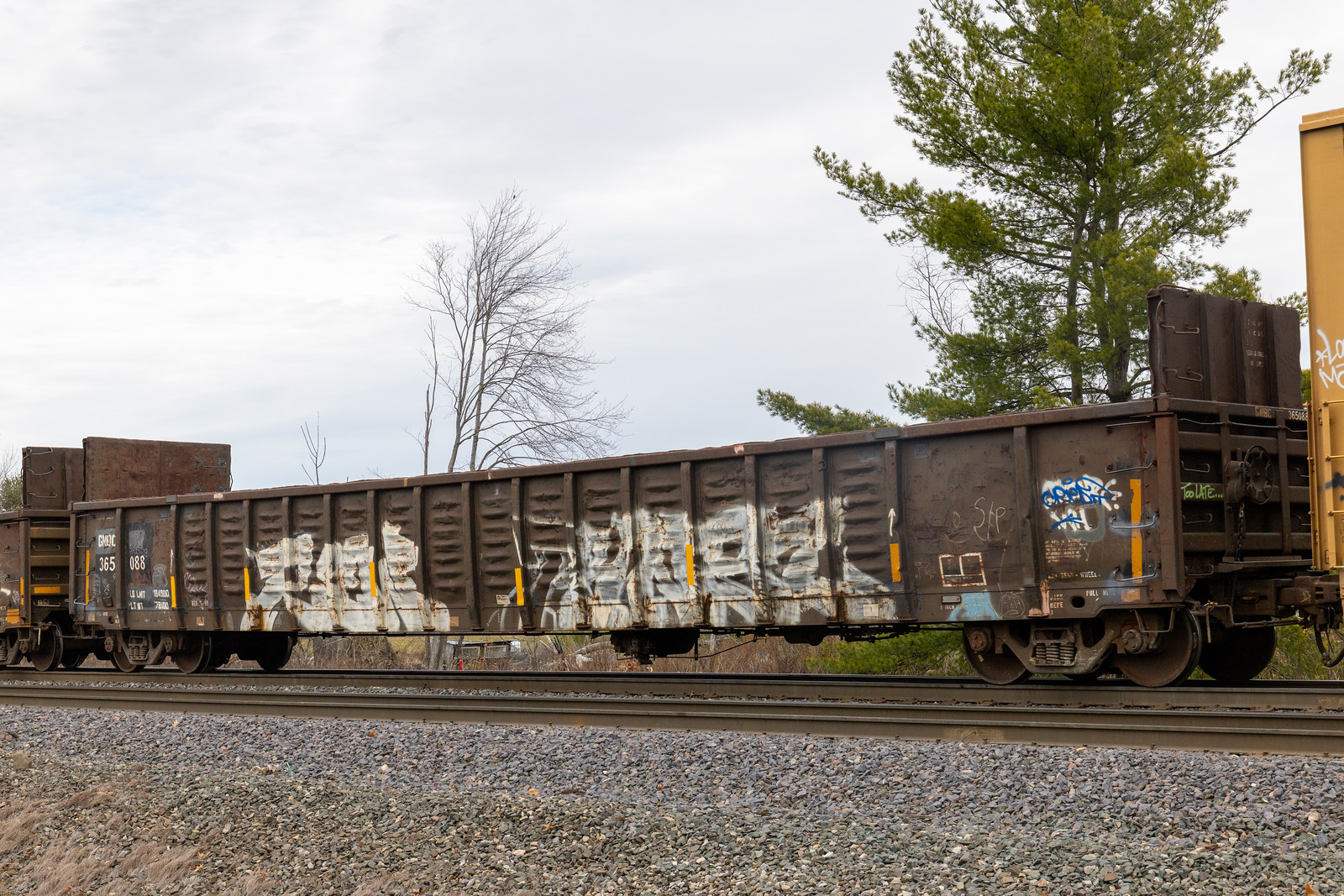 GNBC 365088