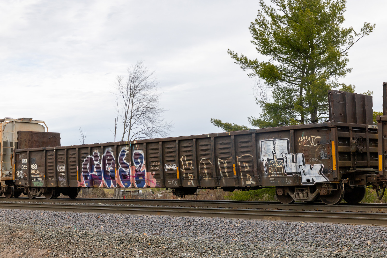 GNBC 365089