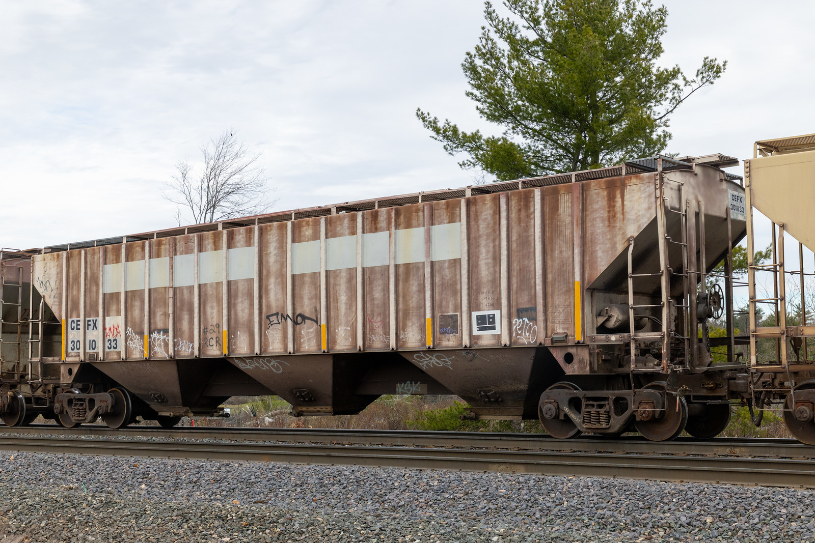 CEFX 301033