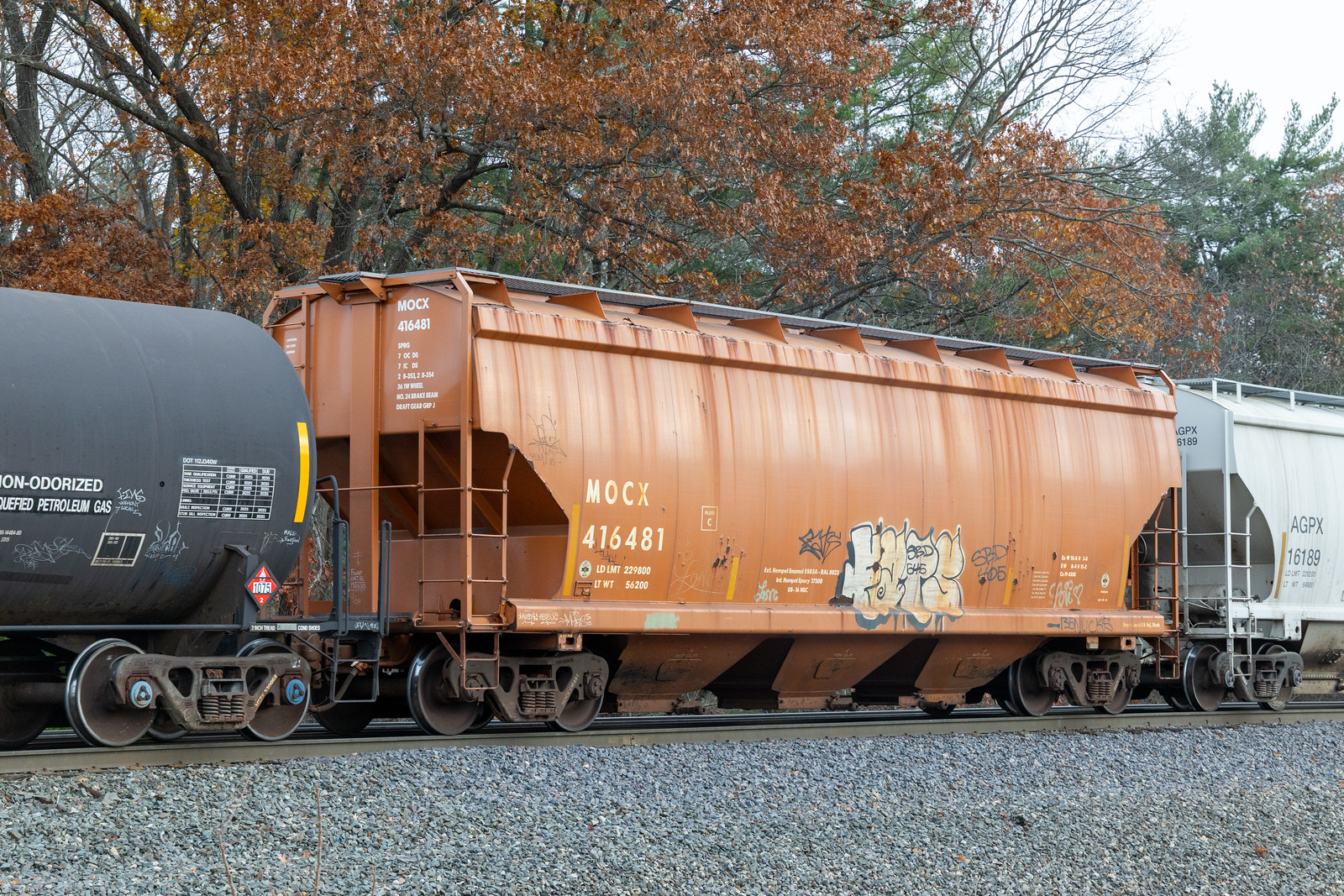 MOCX 416481