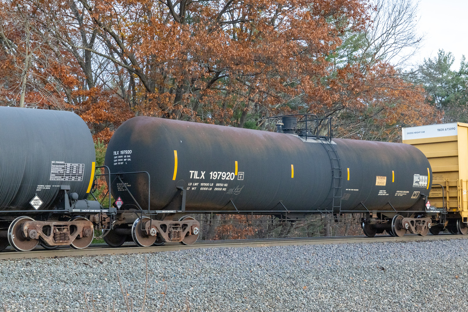 TILX 197920