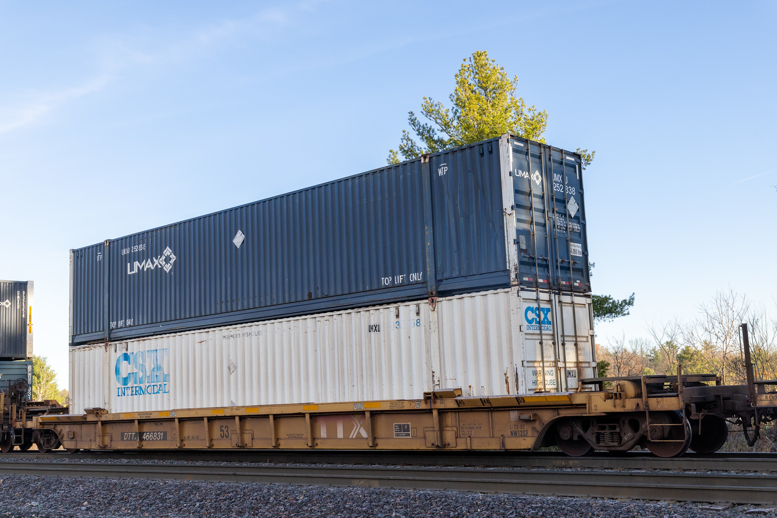 DTTX 466831