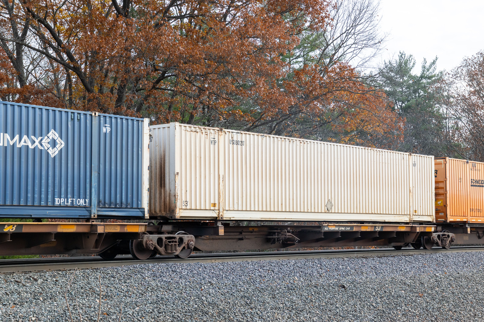 TTAX 555136D