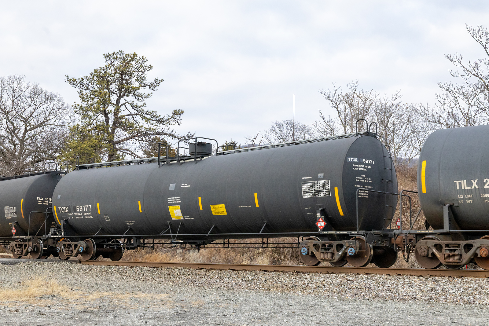 TCIX 59177