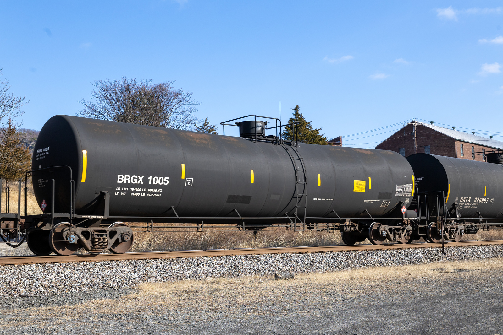 BRGX 1005