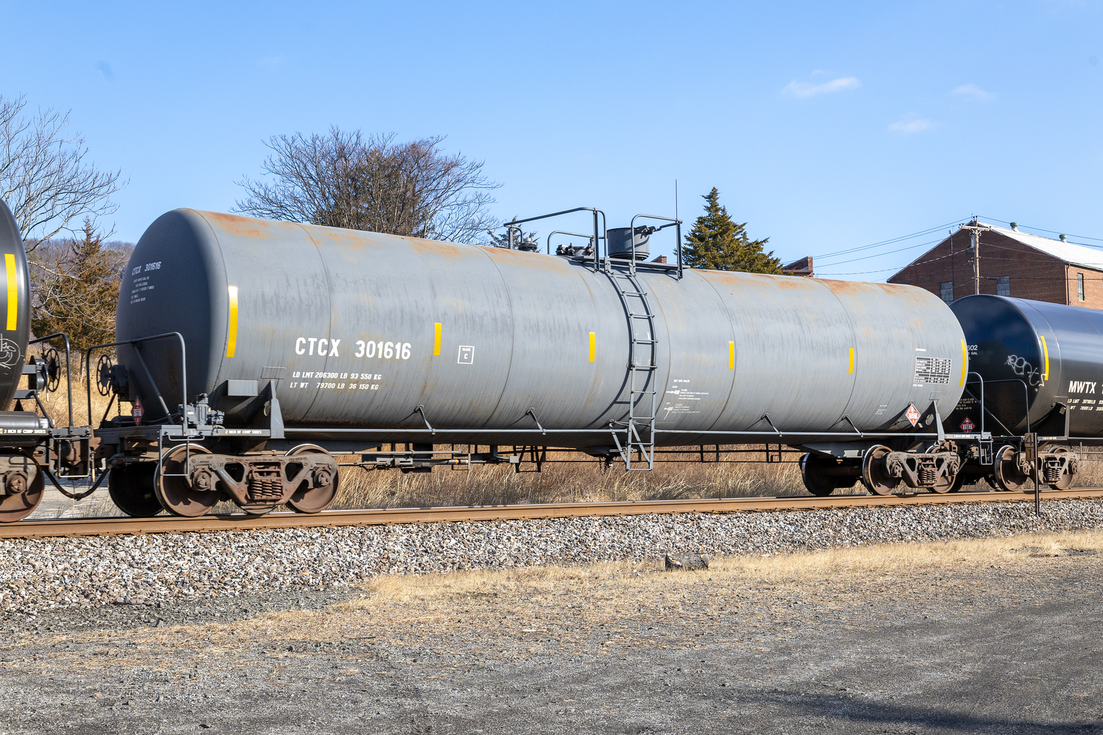 CTCX 301616