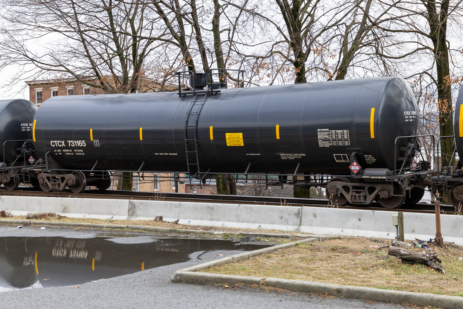 CTCX 731165