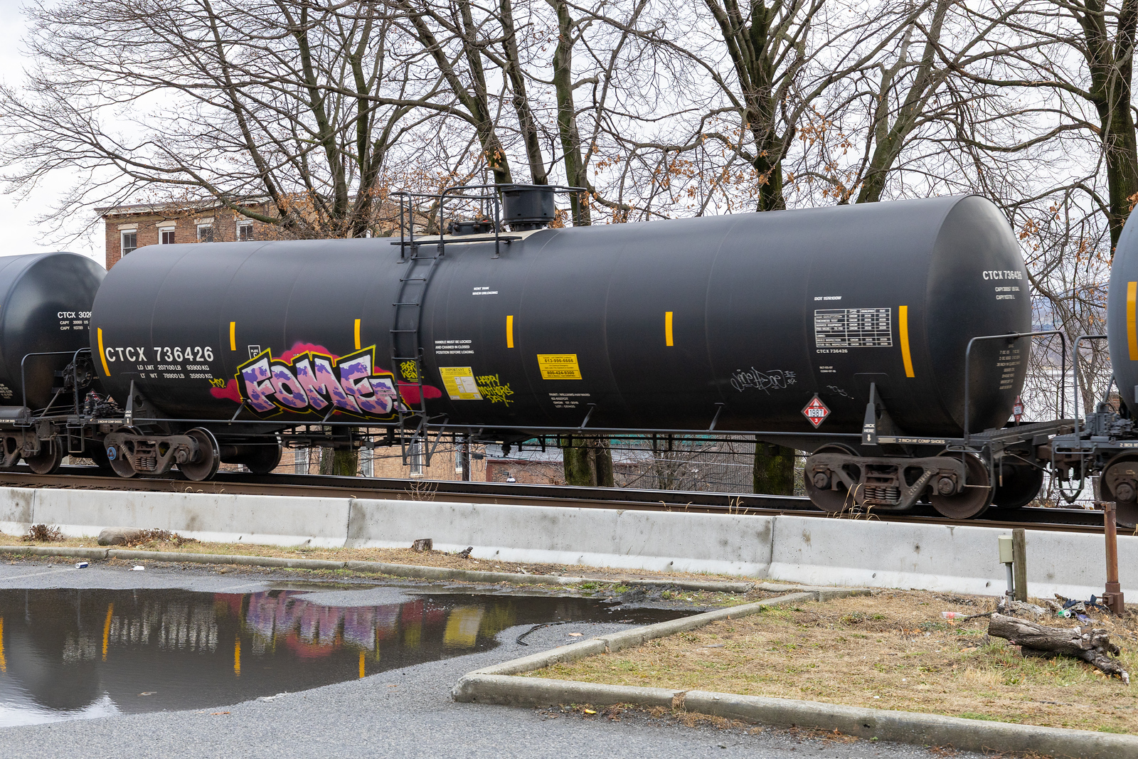 CTCX 736426