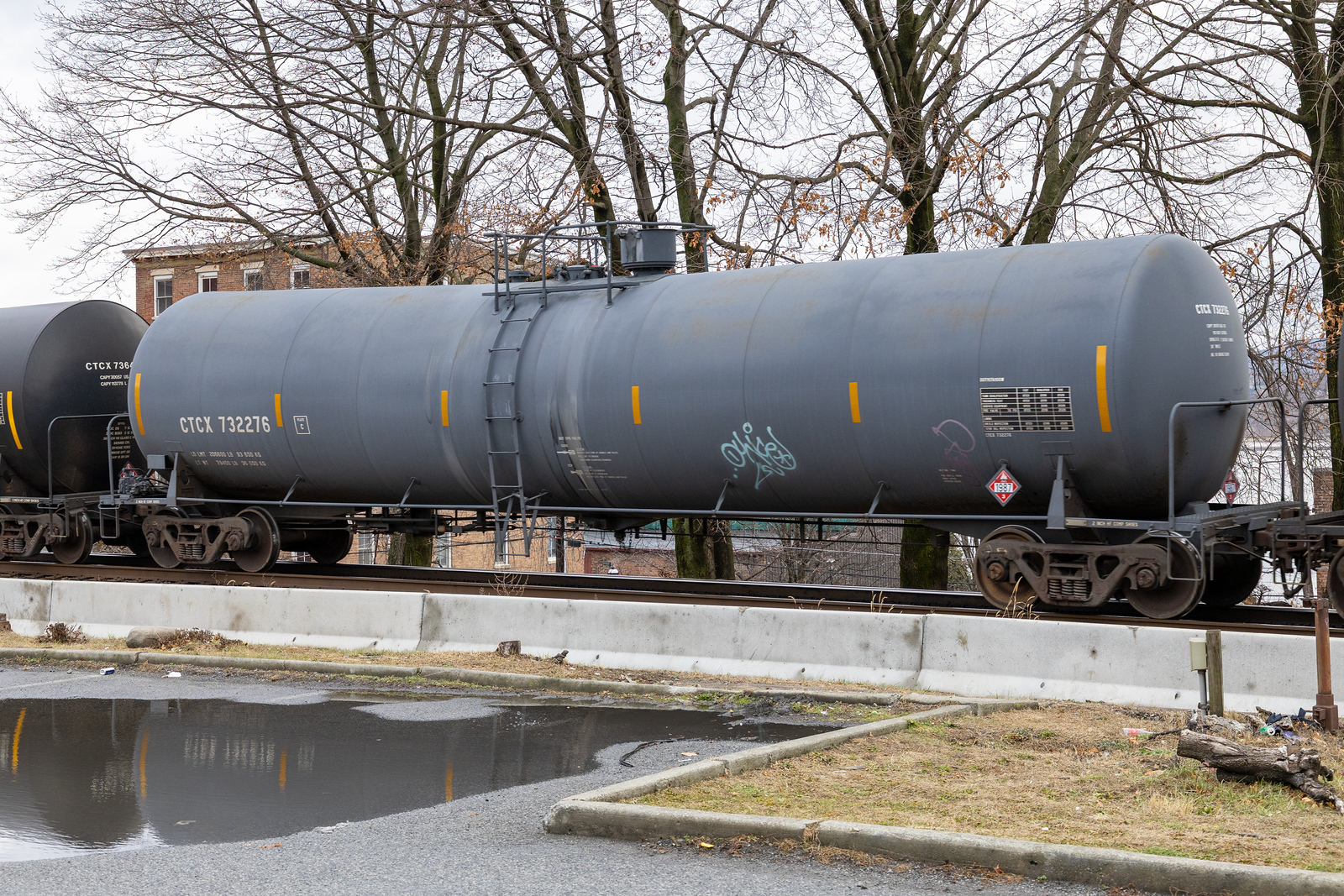CTCX 732276