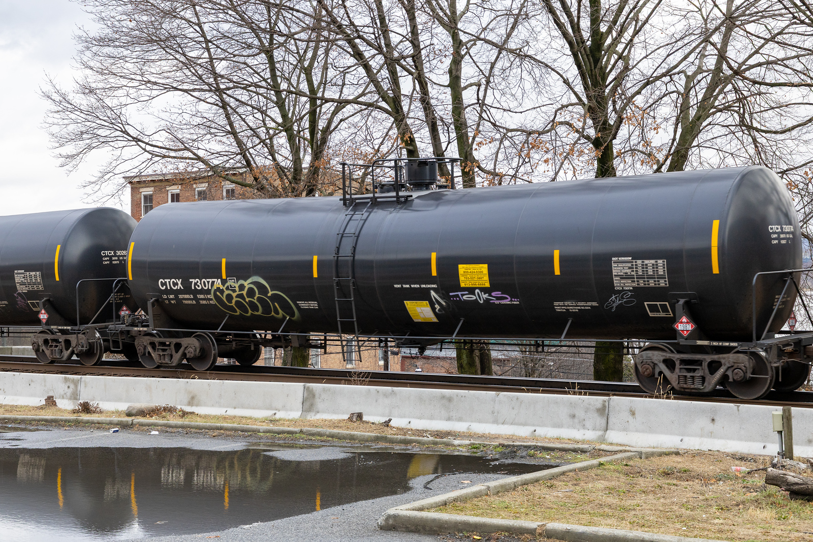 CTCX 730774