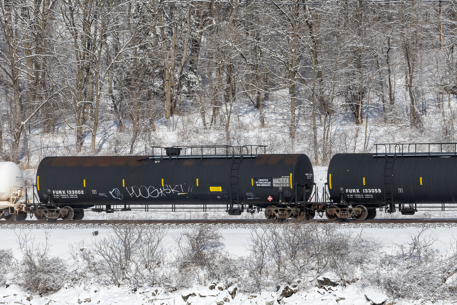 FURX 133002