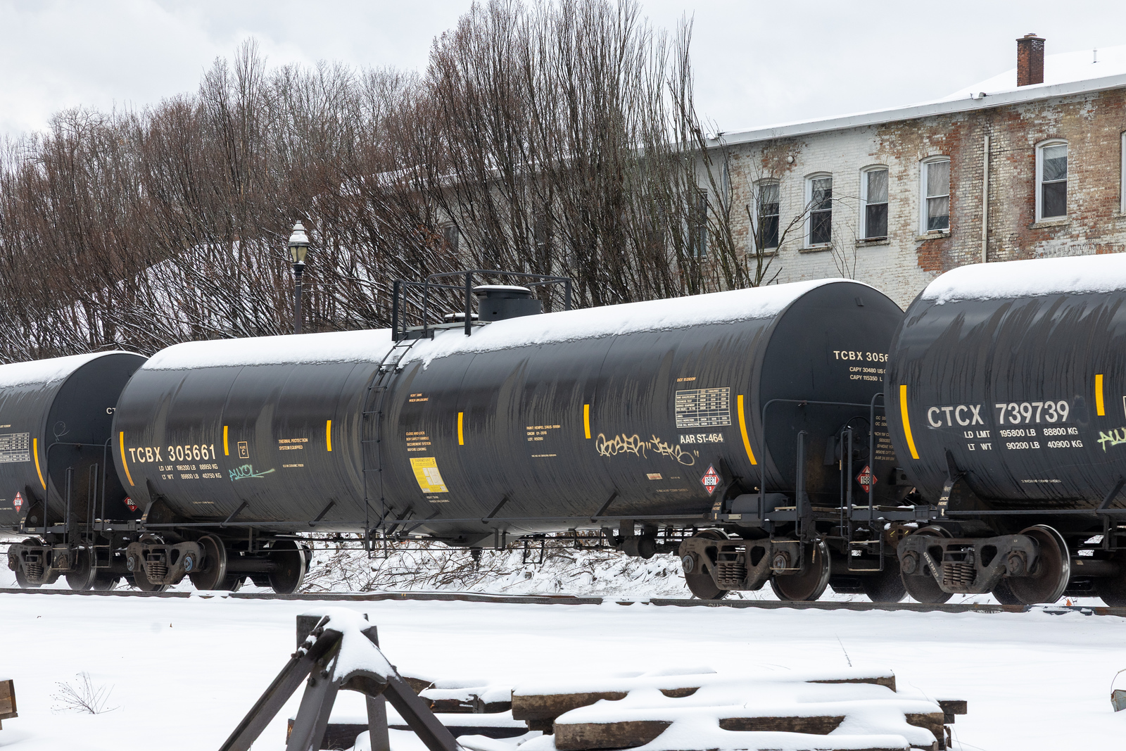 TCBX 305661