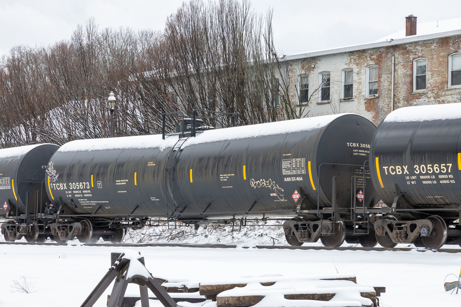 TCBX 305673