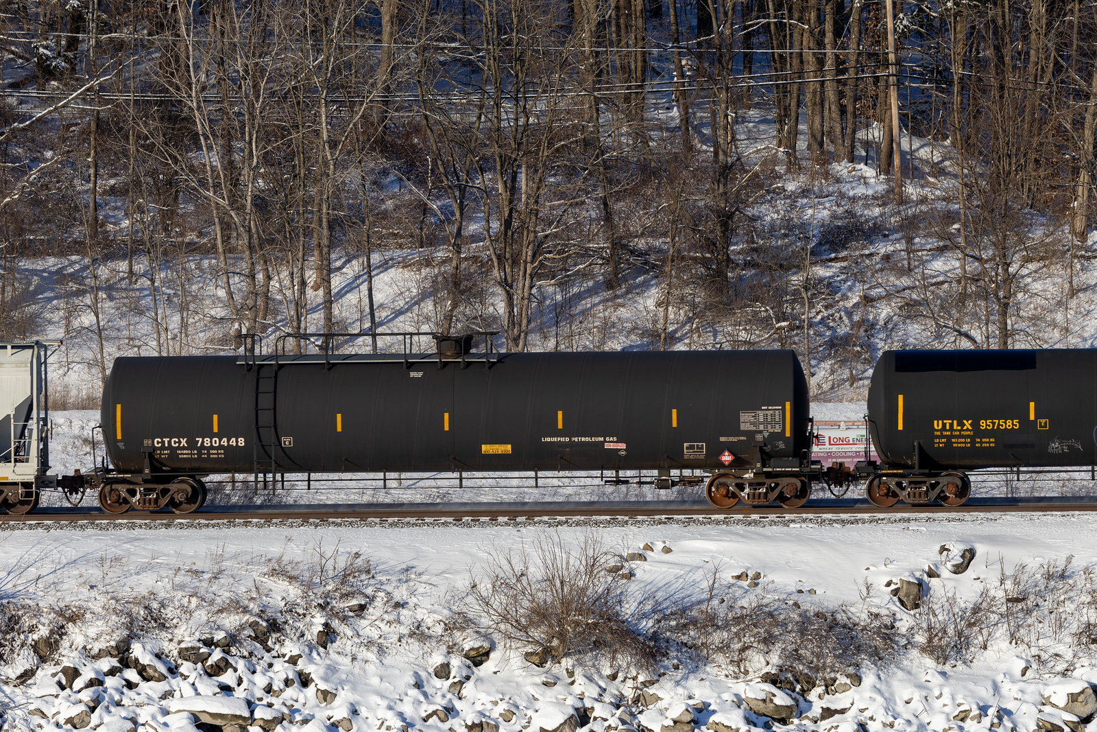 CTCX 780448