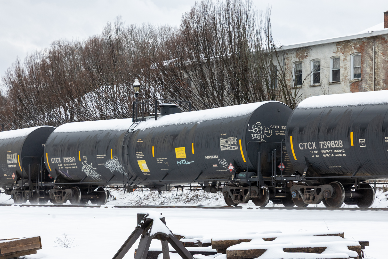 CTCX 739819