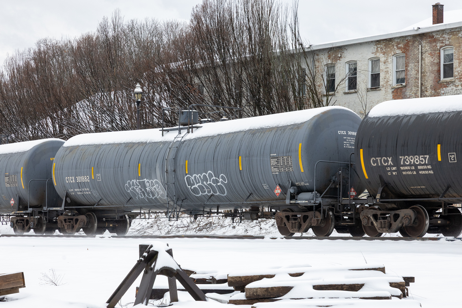 CTCX 301882