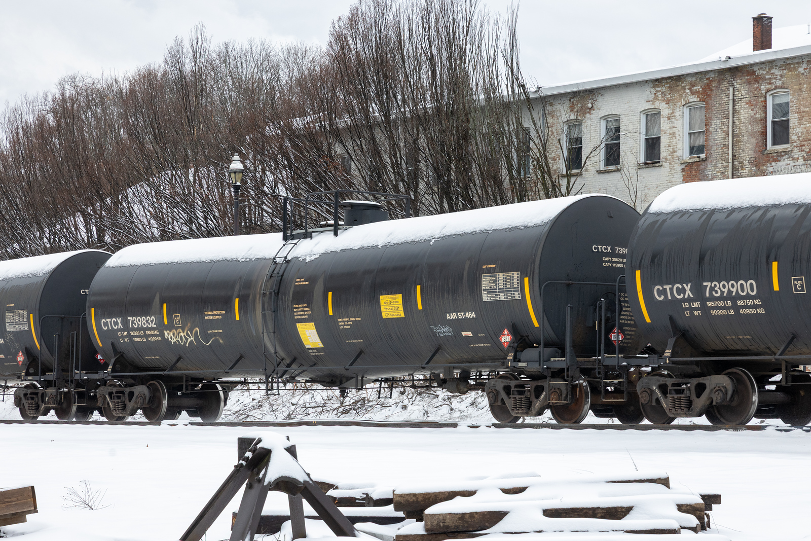 CTCX 739832