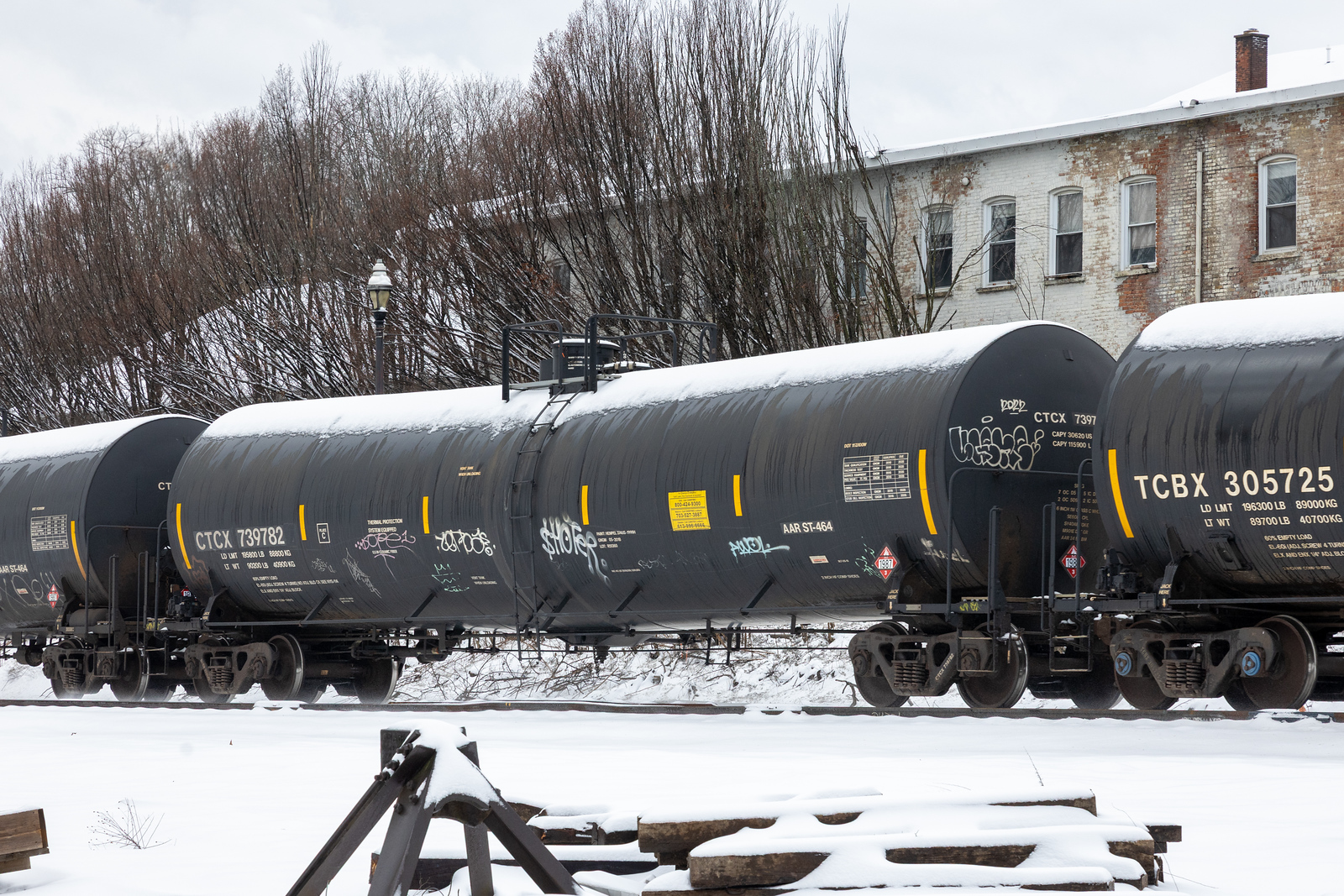 CTCX 739782