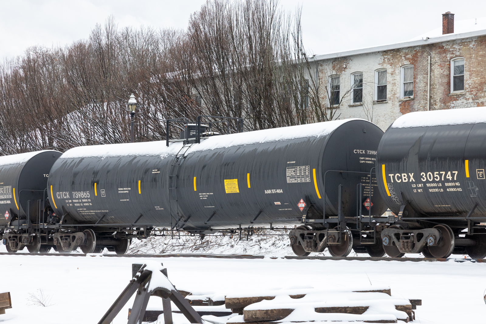 CTCX 739865