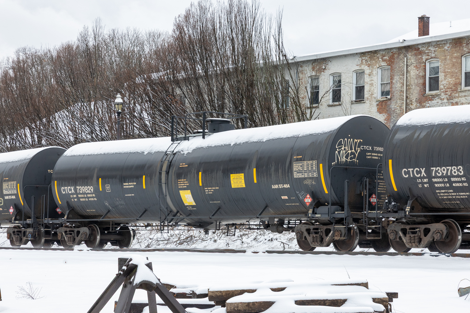 CTCX 739829